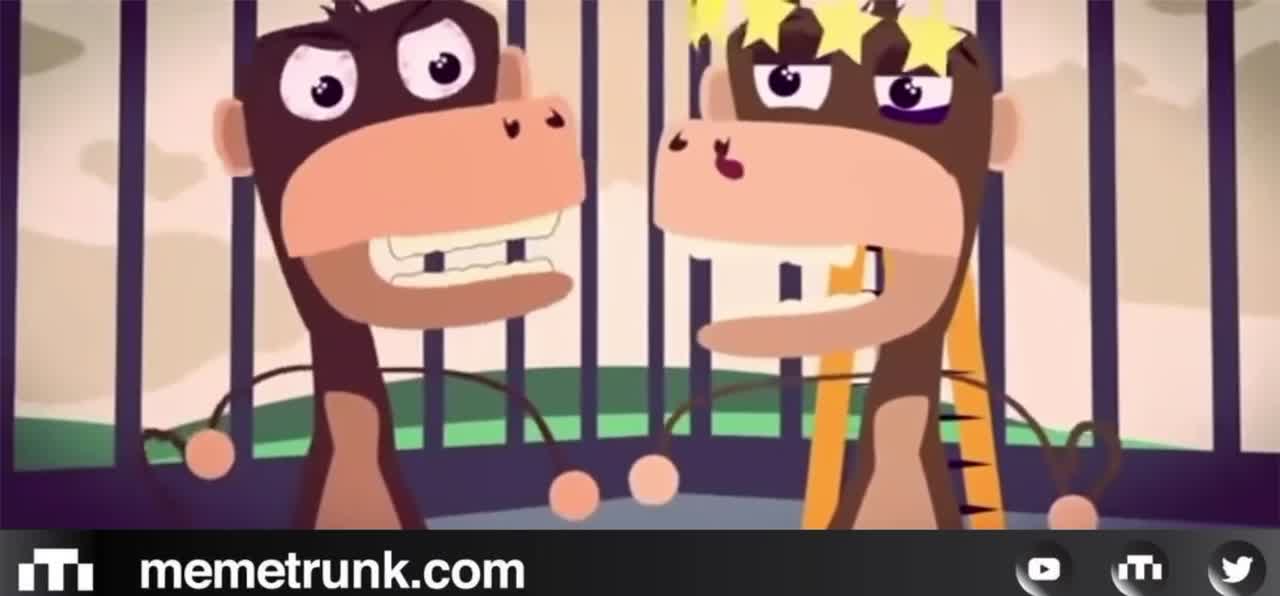 5 Monkeys: That’s just how things are done around here
