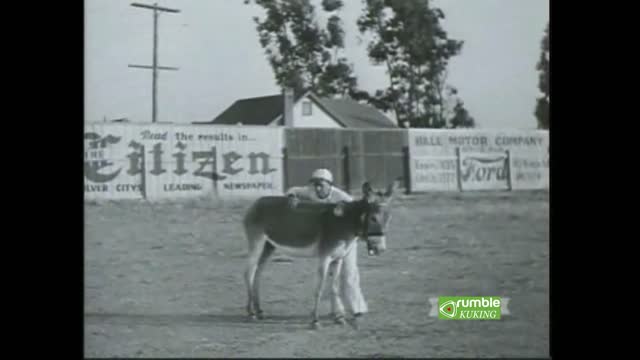 Donkey Baseball (1935)