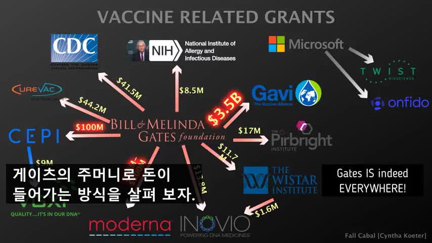 카발의 몰락 속편 Part 10-4 (빌 게이츠 - 이번에는 몬산토와 빅파마다)
