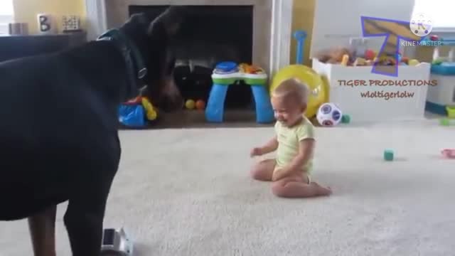 K9 and cute baby playing together