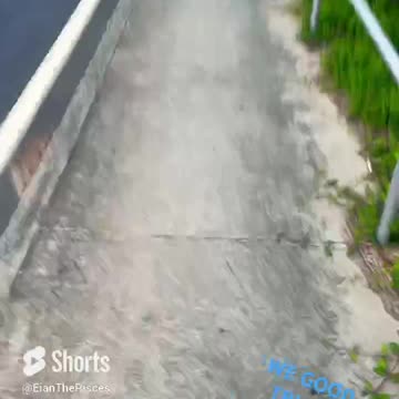 crypto we good DONT PANIC #fyp #shorts