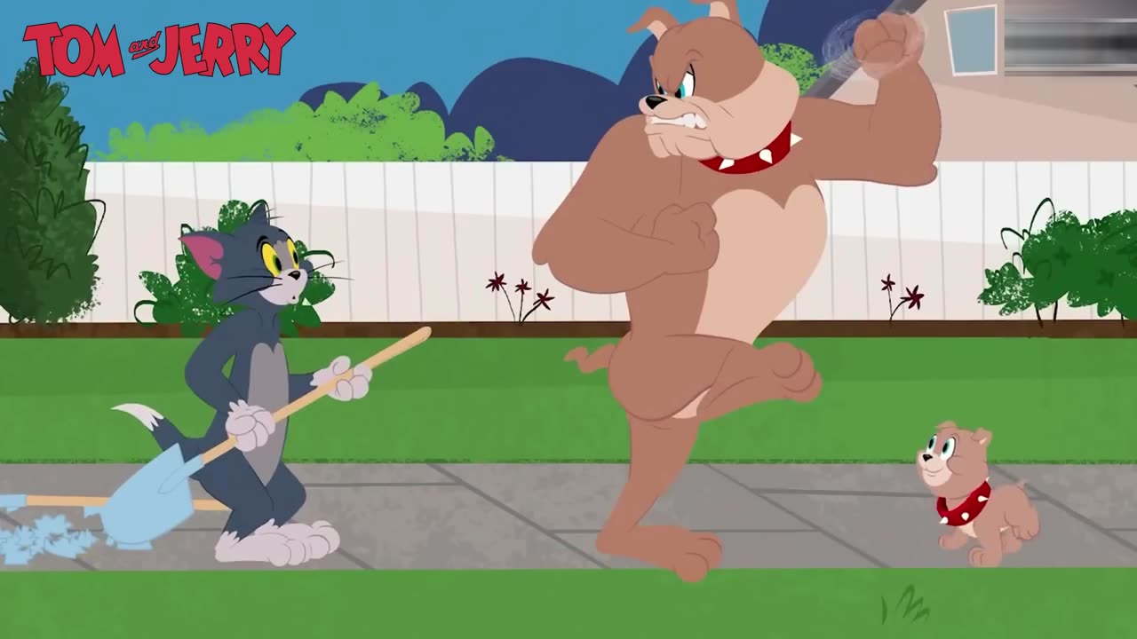 "Tom and Jerry: The Ultimate Cat and Mouse Chase!