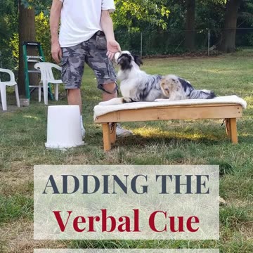 Cable Adding the verbal cue clip 6