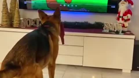 When all my life I dreamed of becoming an actor