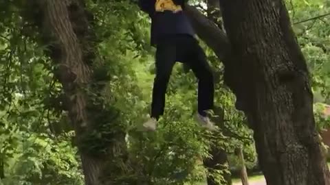 Falling from Tree