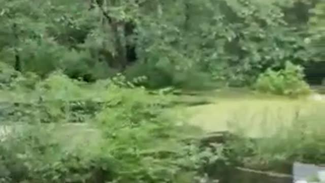 River overflowing with freedom