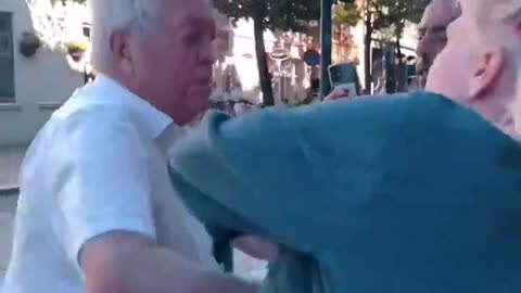 A pro-genocide Zionist punching a pro-Palestine woman