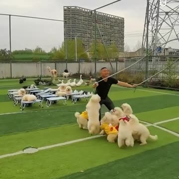 Unbelievable 😍🤣