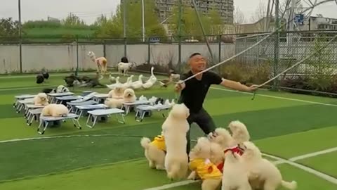 Unbelievable 😍🤣