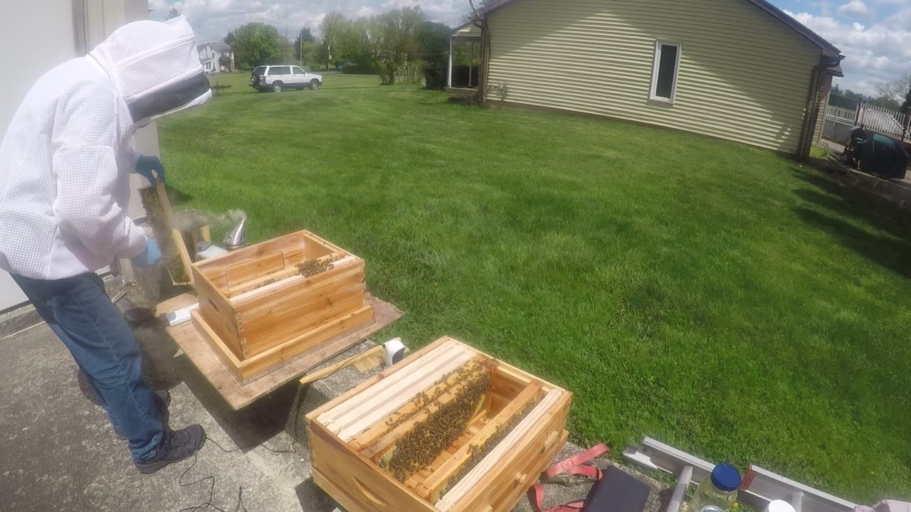 First Hive Inspection April 24, 2024 Part I