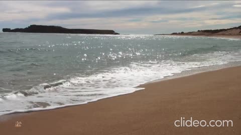 LA ROUX - Paradise Is You (VIDEO)