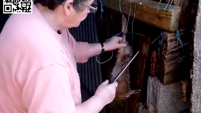 2017-04-09 - Enlever le pyjama d'un lapin - Youtube