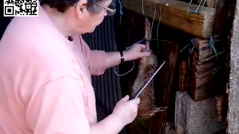 2017-04-09 - Enlever le pyjama d'un lapin - Youtube
