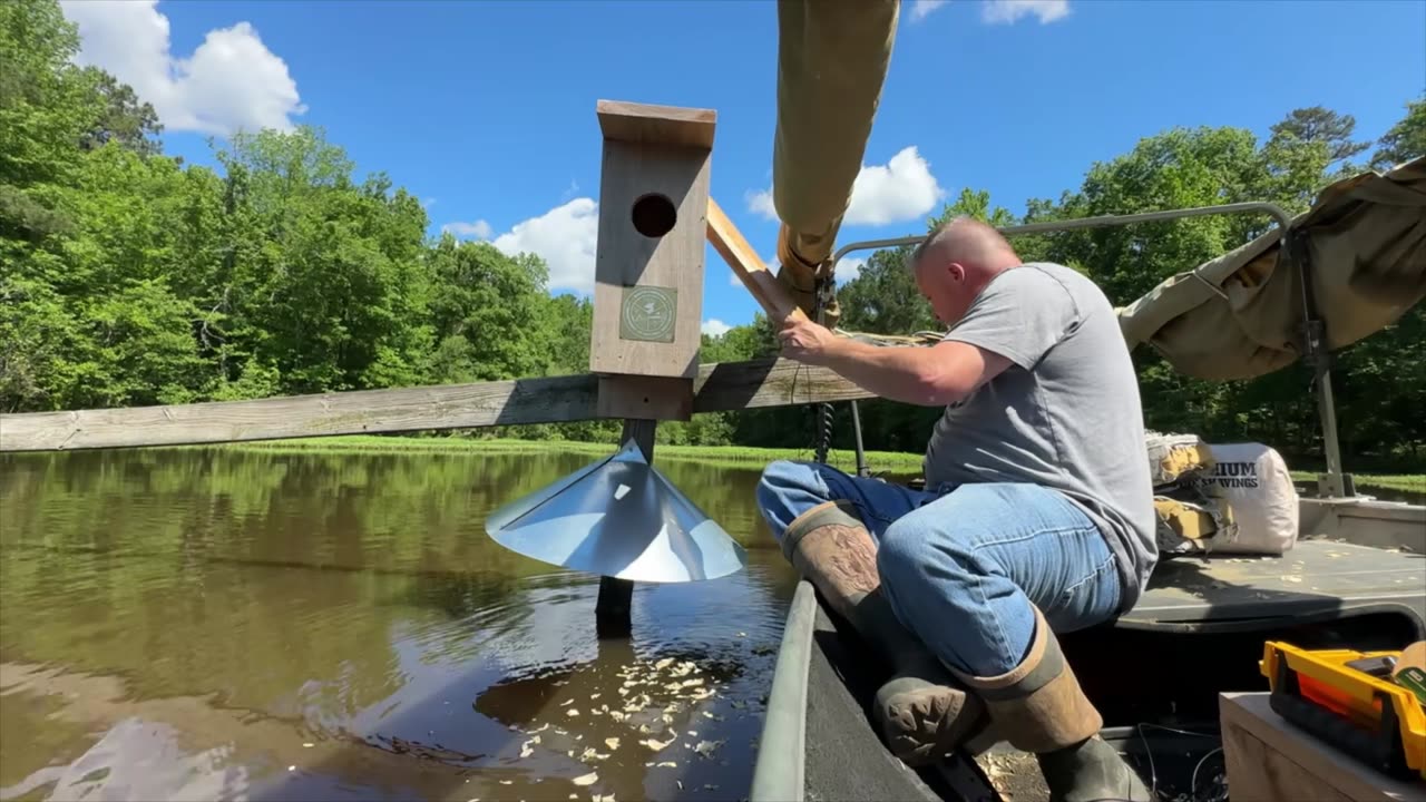 Join the Wood Duck Conservation Revolution: Watch us Clean and Upgrade a Wood Duck Box