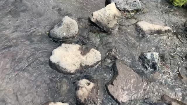 Central Oregon - Three Sisters Wilderness - Glacier Creek Crossing