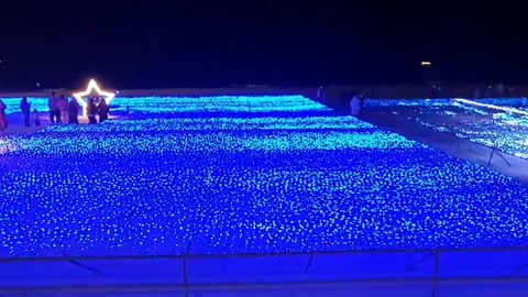 It's Busan