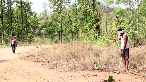 tiger attack man in the forest