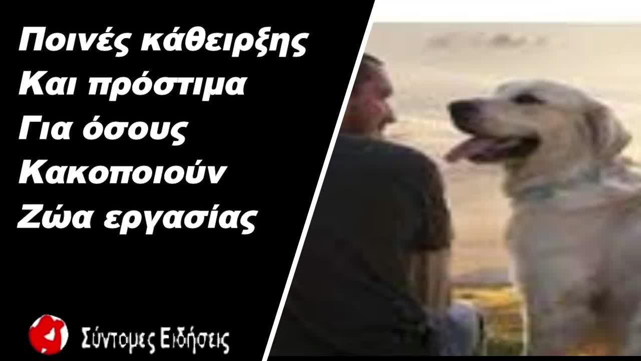 Ποινές κάθειρξης και πρόστιμα για όσους κακοποιούν ζώα εργασίας