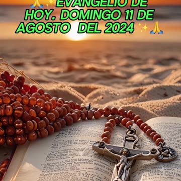 🙏✨Evangelio de HOY. Domingo 11 de Agosto del 2024 ✨🙏