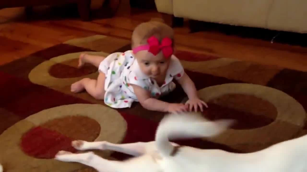 Dog teaches Baby to crawl