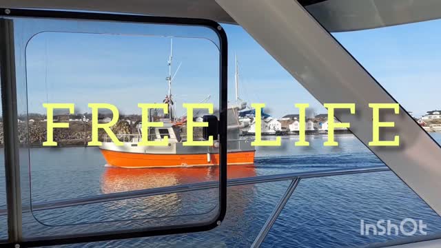 NEW INTROVIDEO FREE LIFE