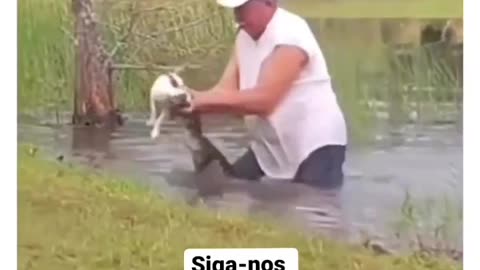 Man save the puppy