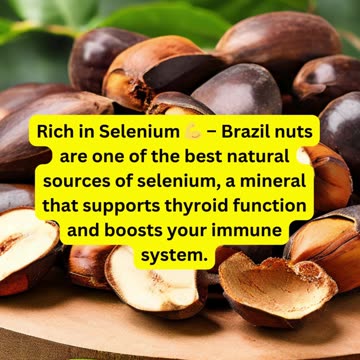 3 Powerful Benefits of Eating Brazil Nuts 🌰✨