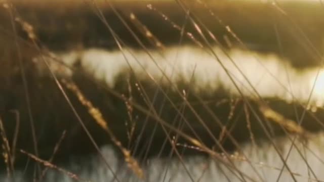 Lake surrounded by dry grass in the savanna