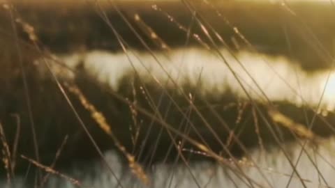 Lake surrounded by dry grass in the savanna