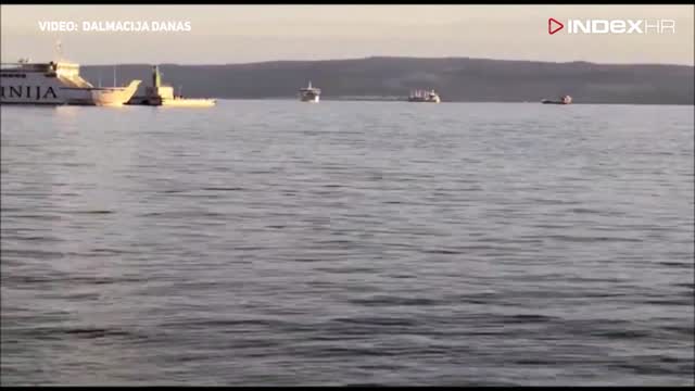Razigrani dupini navratili u splitsku luku