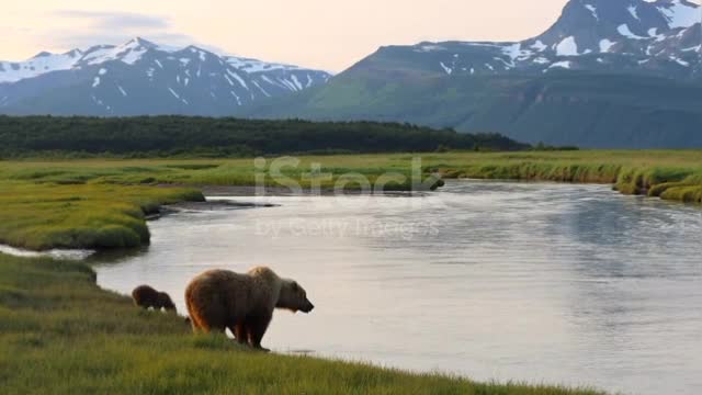 mother Bear with child