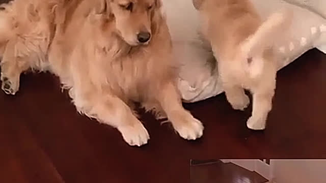 Go to bed