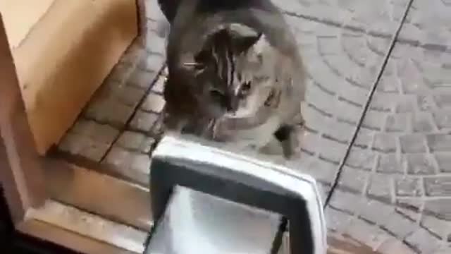 When you have an increased level of irritability