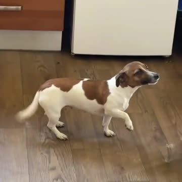 I didnt do that, its not my fault🤠🤠