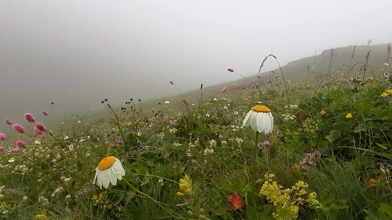 VIEWS FROM THE PLATEAU-23