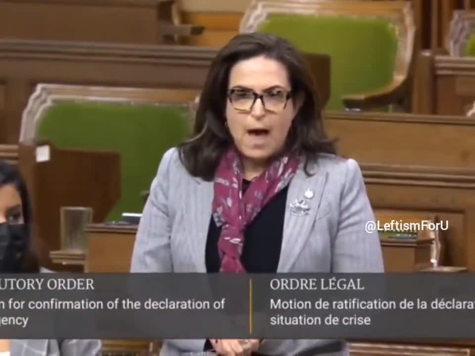 Députée Yaara Saks affirme que « Honk ! Honk ! » est l'acronyme [sic] de « Heil Hitler ! »