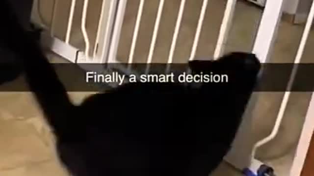 4.smart decision 😏