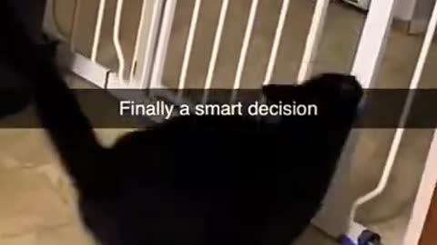 4.smart decision 😏