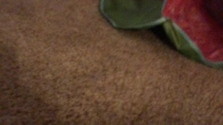 Carson H. Truggey Gift to Him !