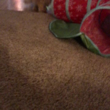 Carson H. Truggey Gift to Him !