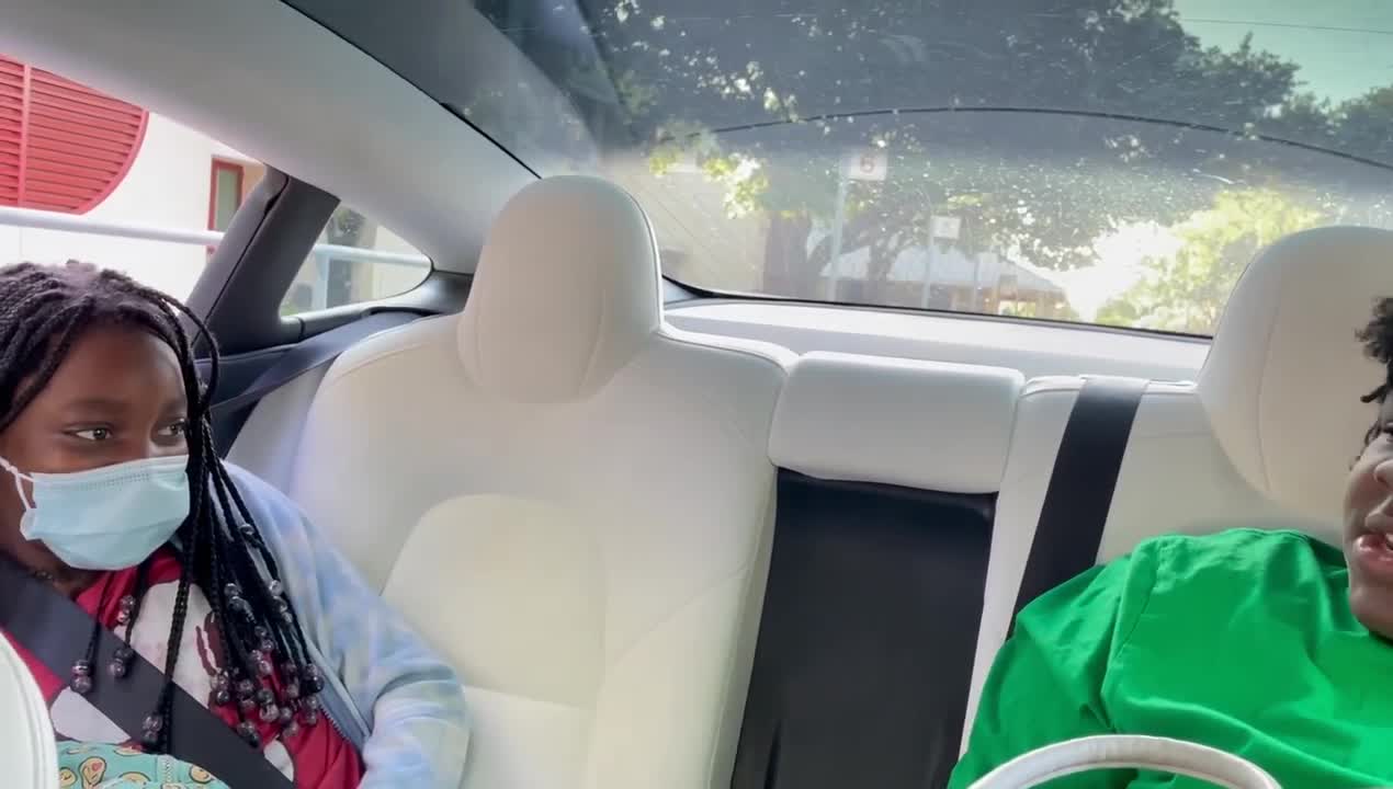 Best Friend in a Tesla