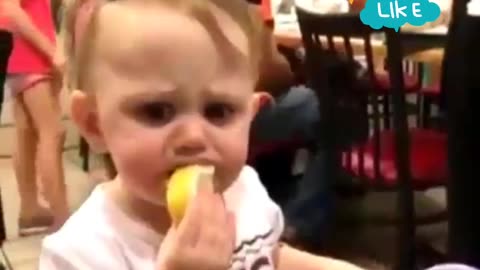funny reactions baby tasting lemon