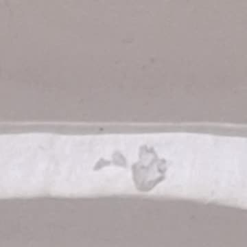 Water evaporating off the floor, changing it's state from liquid to gas(magnified)