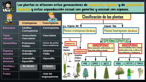 PAMER SEMESTRAL ESCOLAR 2022 | Semana 08 | Biología