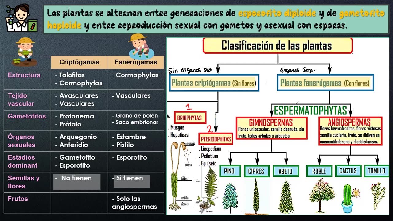 PAMER SEMESTRAL ESCOLAR 2022 | Semana 08 | Biología