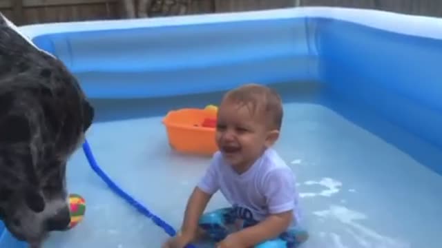 laughing babies playing with dog and water