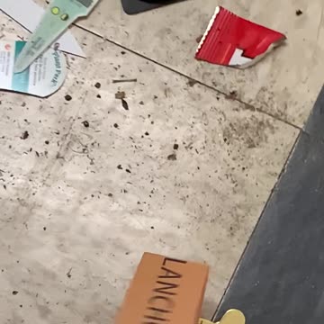 Roaches at Franklin park apartments