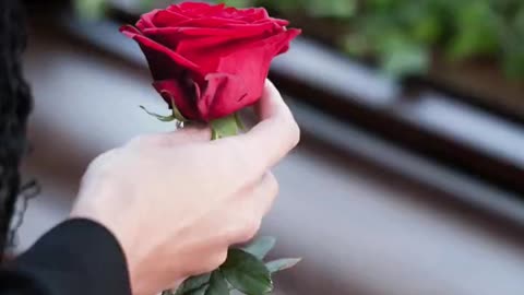 Will U marry , after I die؟ #funny #humor #jokes #comedy #jokesvideo #couplescomedy #couple