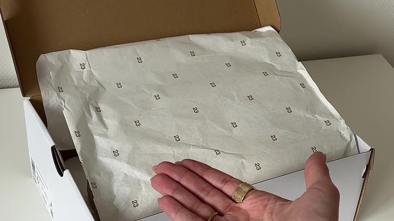 Unboxing the Jordan 4 Retro Blank Canvas