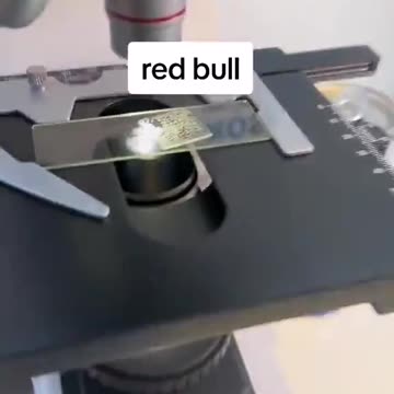 RED BULL TE DÁ ASAS E OUTRAS COISAS ESTRANHAS COMO NANOPARTÍCULAS DE GRAFENO E PARASITAS